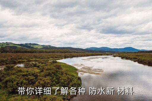 新型防水材料大全新型防水材料有哪些？(图3)