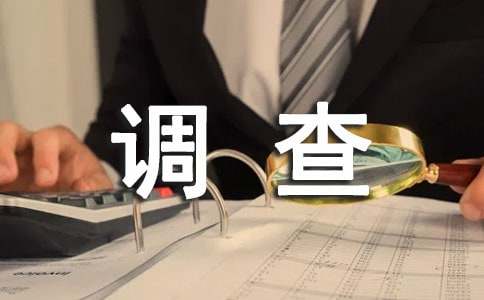 装饰材料调查报告(图1) 装饰材料调查报告(图1)