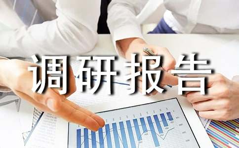 装饰材料调研报告(图1) 装饰材料调研报告(图1)