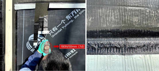 东方雨虹SPU-321亲沥青单组分聚氨酯防水涂料携手聚沥系统强势来袭(图2) 东方雨虹SPU-321亲沥青单组分聚氨酯防水涂料携手聚沥系统强势来袭(图2)