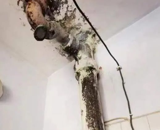 家里漏水怎么办室内家装防水工程怎么做 防水材料选 家装(图1) 家里漏水怎么办室内家装防水工程怎么做 防水材料选 家装(图1)