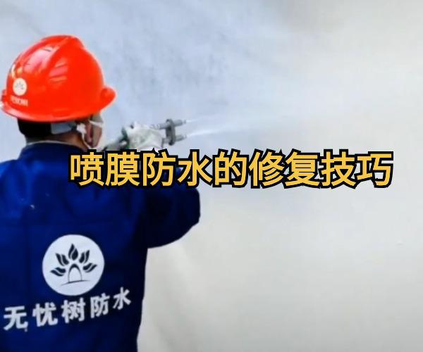 丙烯酸盐喷膜防水的维护和修复技巧(图2)