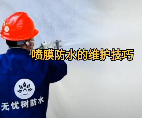 丙烯酸盐喷膜防水的维护和修复技巧(图1)