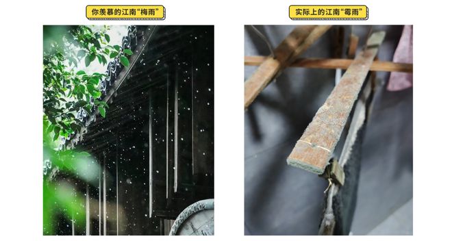 被“梅雨”支配?科学抗菌防霉悦享健康空间(图1) 被“梅雨”支配?科学抗菌防霉悦享健康空间(图1)