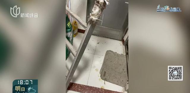 又见“鸽”霸!无人能管?沪一小区居民深受其苦14年(图4) 又见“鸽”霸!无人能管?沪一小区居民深受其苦14年(图4)