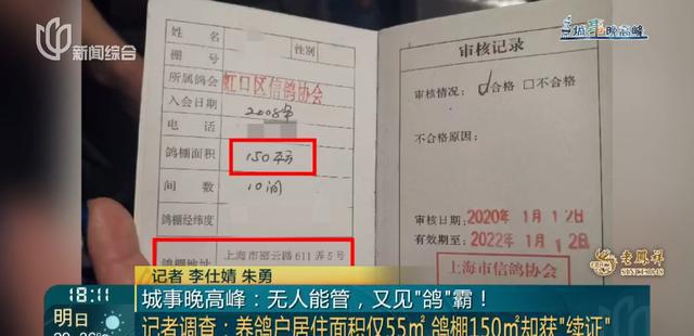 又见“鸽”霸!无人能管?沪一小区居民深受其苦14年(图8) 又见“鸽”霸!无人能管?沪一小区居民深受其苦14年(图8)