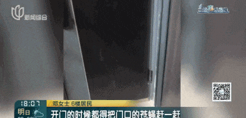 又见“鸽”霸!无人能管?沪一小区居民深受其苦14年(图3) 又见“鸽”霸!无人能管?沪一小区居民深受其苦14年(图3)