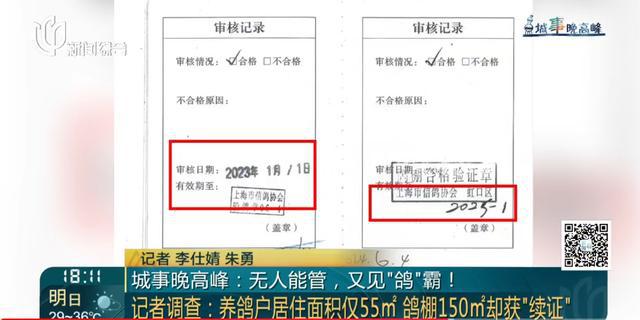 又见“鸽”霸!无人能管?沪一小区居民深受其苦14年(图7) 又见“鸽”霸!无人能管?沪一小区居民深受其苦14年(图7)