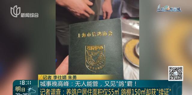 又见“鸽”霸!无人能管?沪一小区居民深受其苦14年(图6) 又见“鸽”霸!无人能管?沪一小区居民深受其苦14年(图6)