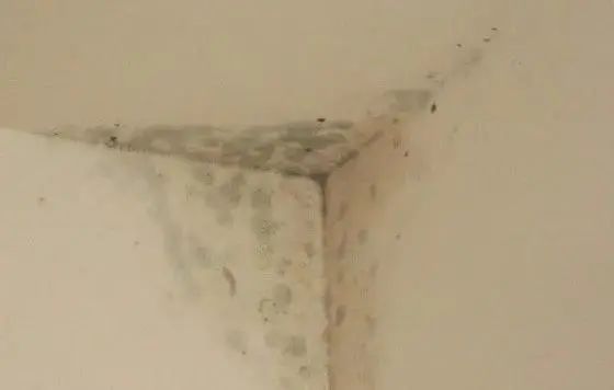 防潮or防水？二次维修、防水修缮或将成为材料的主要市场！(图3)