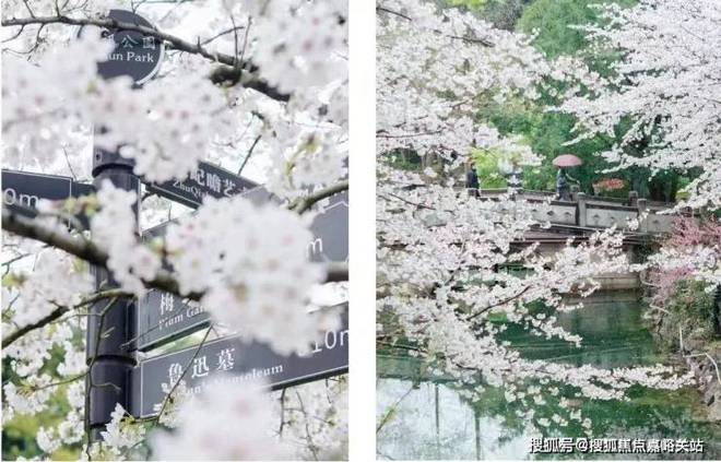 中建·虹悦里官方网站-中建虹悦里(上海虹口)-最新价格-户型配套(图14)