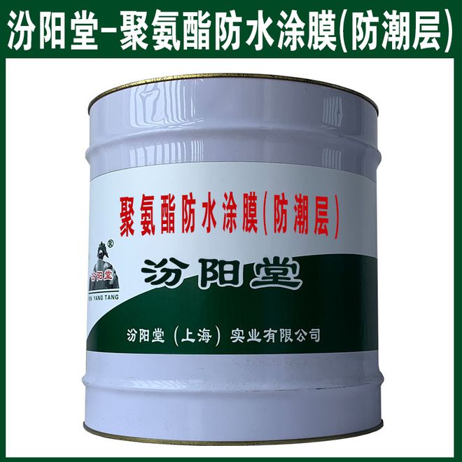 聚氨酯防水涂膜(防潮层)广泛应用于建筑、道路(图2) 聚氨酯防水涂膜(防潮层)广泛应用于建筑、道路(图2)
