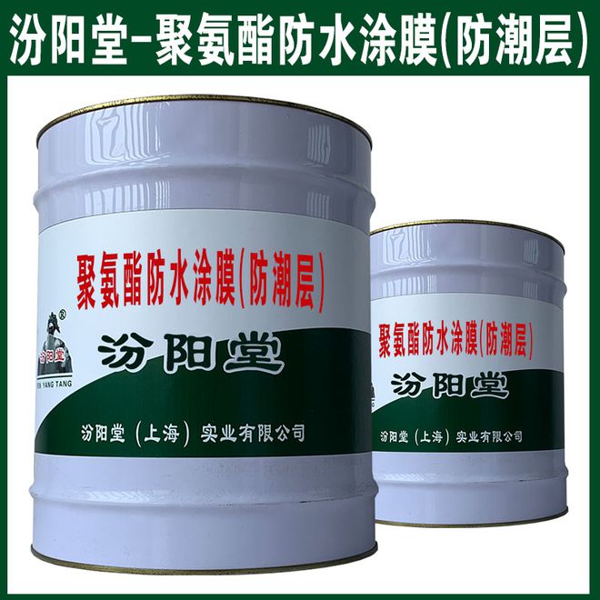 聚氨酯防水涂膜(防潮层)广泛应用于建筑、道路(图1) 聚氨酯防水涂膜(防潮层)广泛应用于建筑、道路(图1)