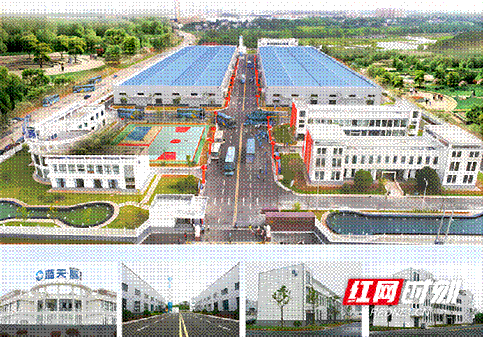 解密“金煌现象”:家装转型的逆势增长之道(图3) 解密“金煌现象”:家装转型的逆势增长之道(图3)