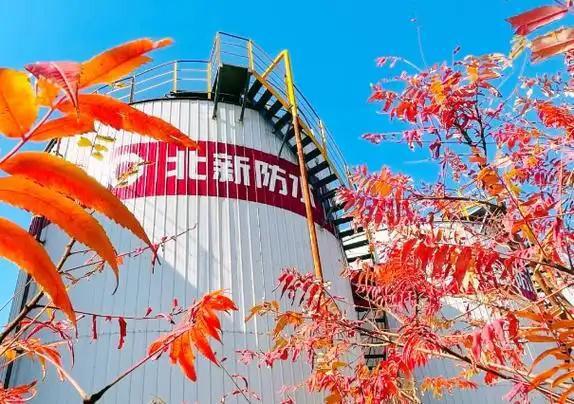 北新防水:以质量为基铸就防水行业新标杆(图1) 北新防水:以质量为基铸就防水行业新标杆(图1)